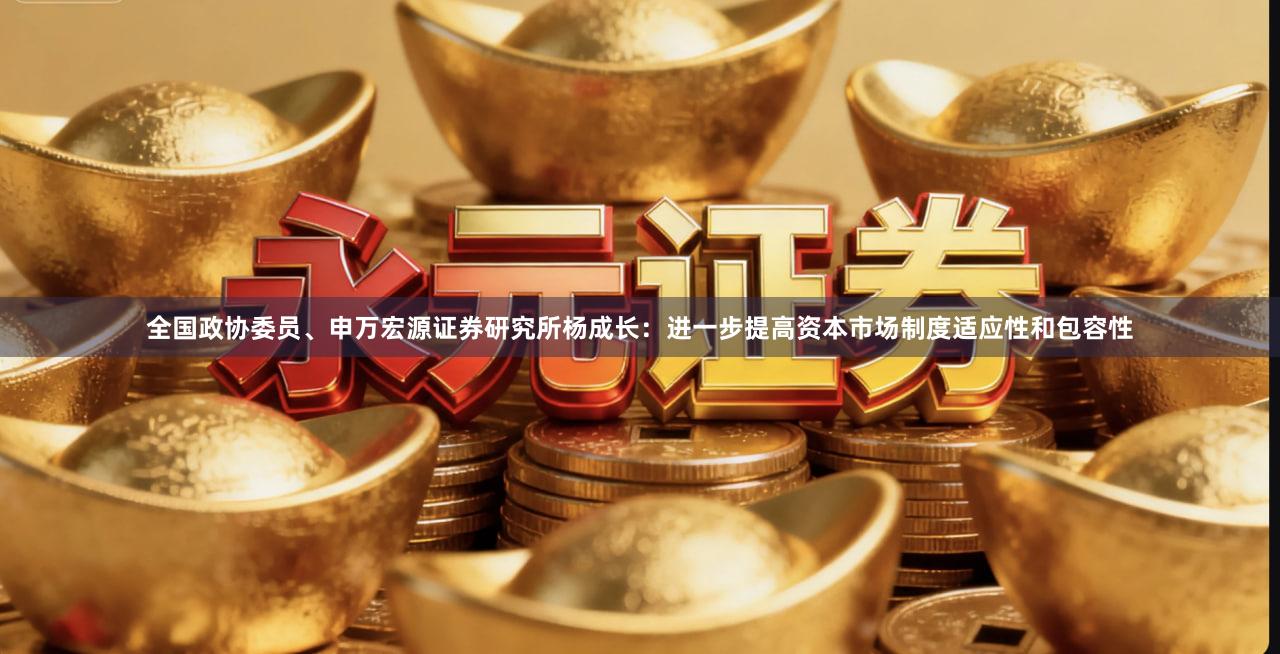 全国政协委员、申万宏源证券研究所杨成长：进一步提高资本市场制度适应性和包容性